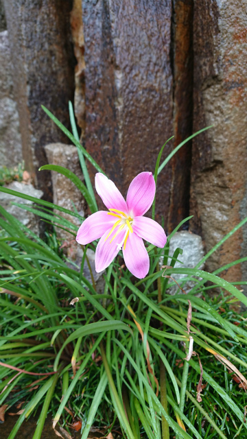 作品集・葉月園